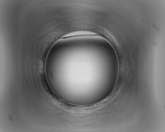 X0000112900025200908211527