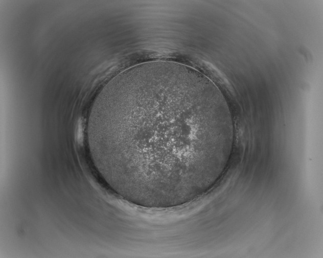 X0000112900026200908211527