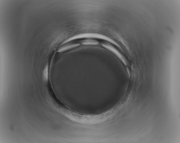 X0000112900027200908211527