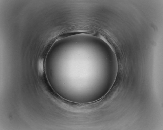 X0000112900028200908211527