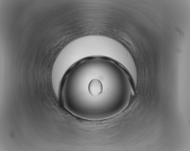 X0000112900029200908211527