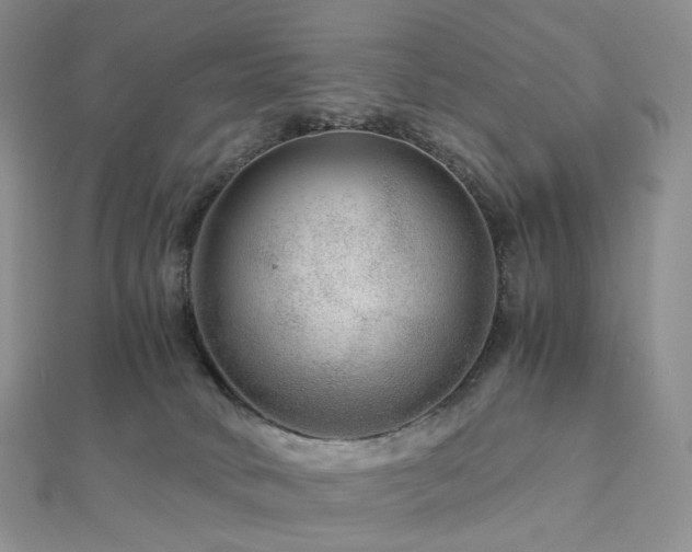 X0000112900034200908211526