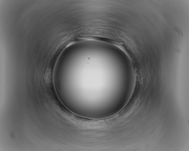 X0000112900036200908211526