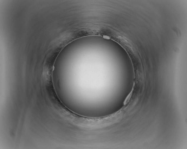 X0000112900037200908211526