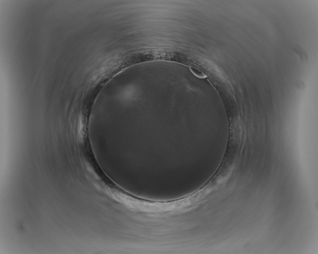 X0000112900039200908211526