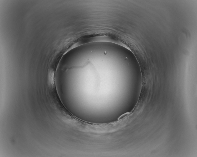 X0000112900041200908211526