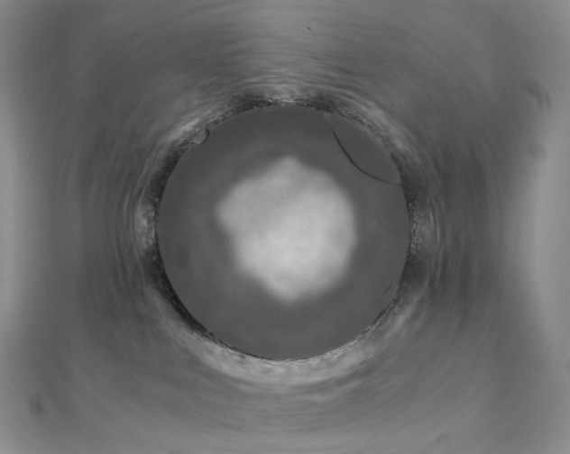 X0000112900043200908211526