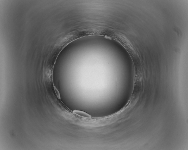 X0000112900045200908211526