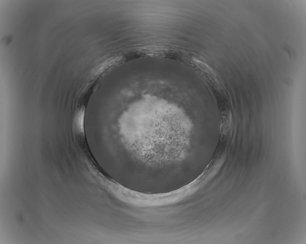 X0000112900047200908211526