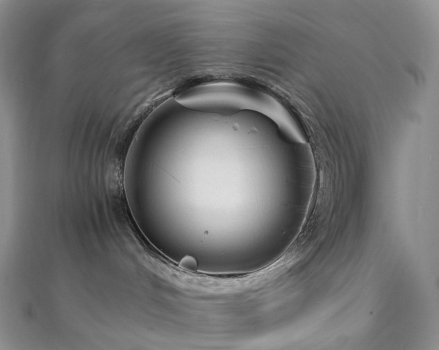 X0000112900048200908211526