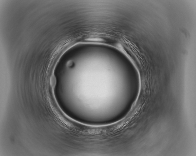 X0000112900049200908211525