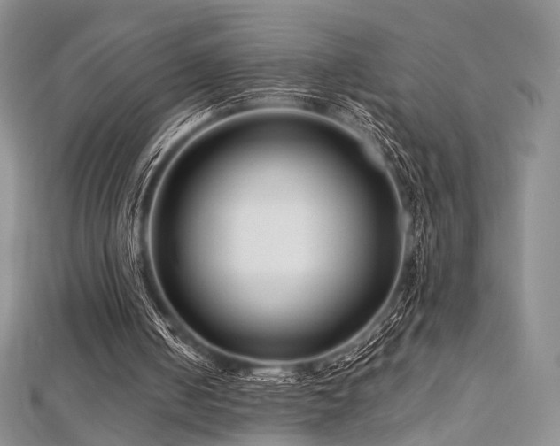 X0000112900050200908211525