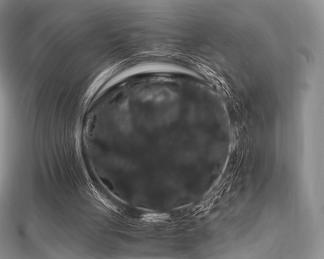 X0000112900051200908211525