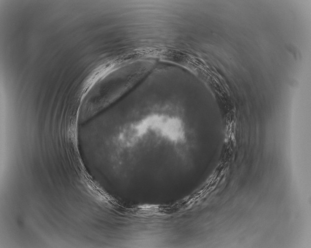 X0000112900052200908211525