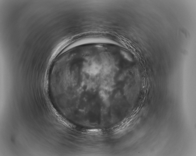 X0000112900053200908211525