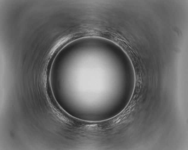 X0000112900054200908211525