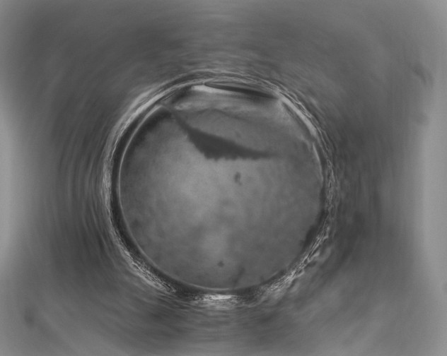 X0000112900055200908211525