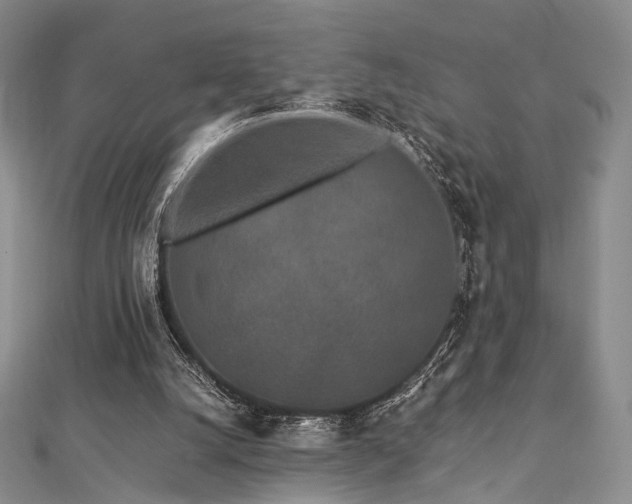 X0000112900056200908211525