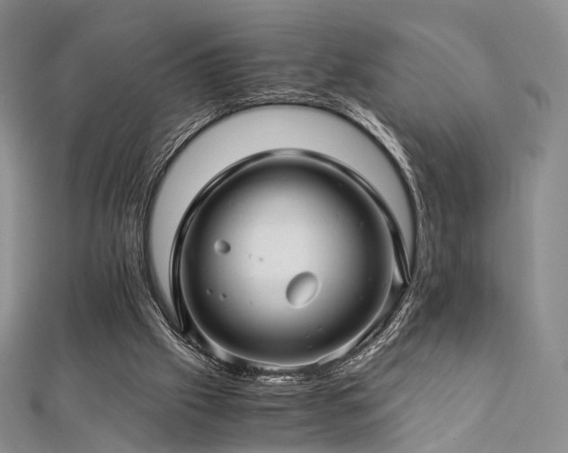 X0000112900057200908211525