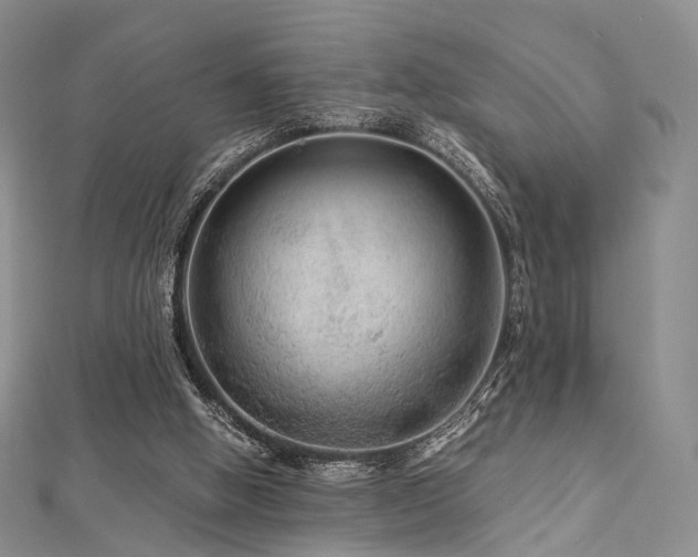 X0000112900058200908211525