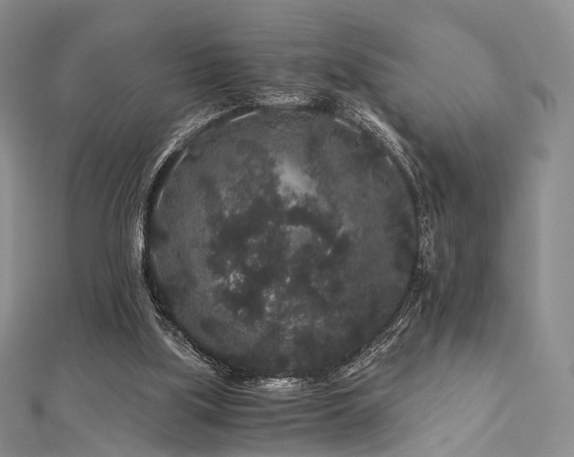 X0000112900059200908211525