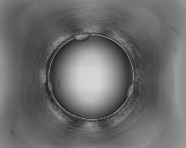 X0000112900060200908211525