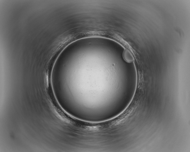 X0000112900061200908211525