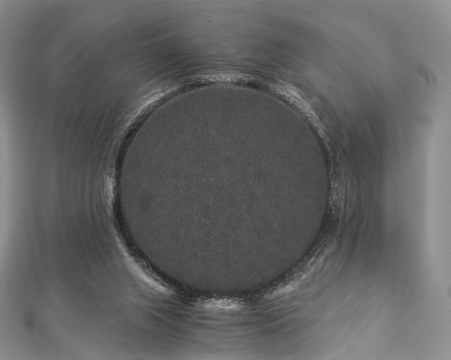 X0000112900063200908211526