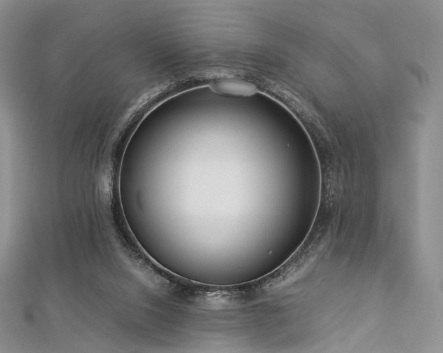 X0000112900064200908211526