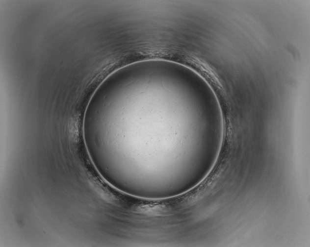 X0000112900065200908211526