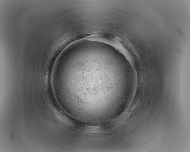 X0000112900066200908211526