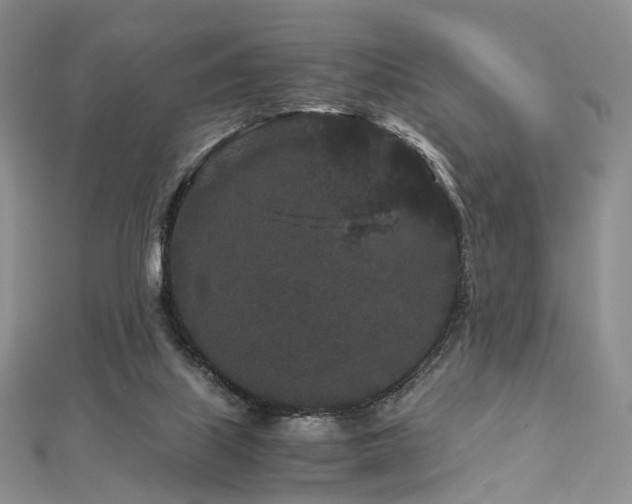 X0000112900067200908211526