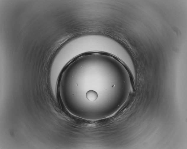 X0000112900068200908211526