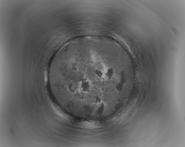 X0000112900069200908211526