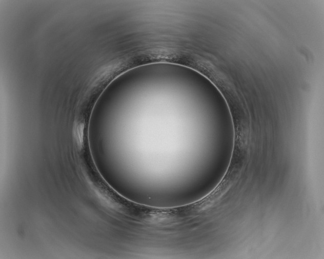 X0000112900070200908211526