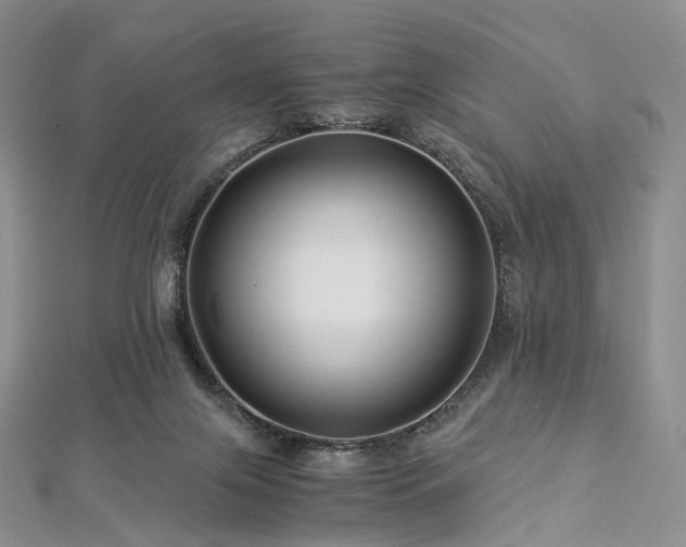 X0000112900071200908211526