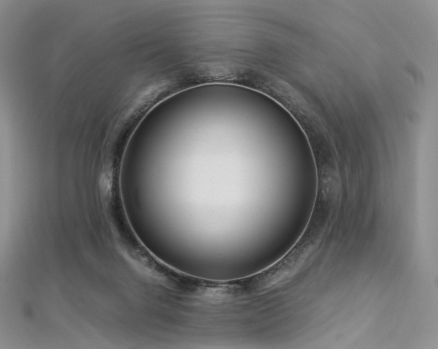 X0000112900072200908211526