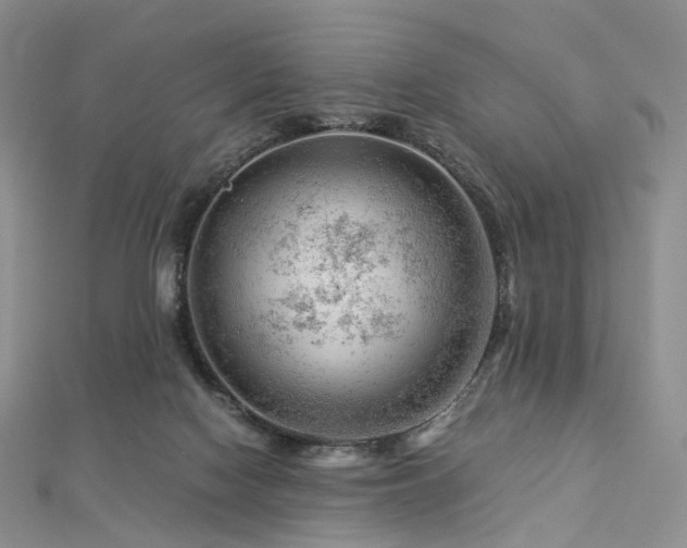 X0000112900074200908211526