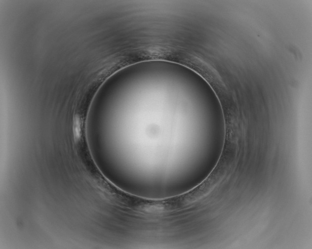 X0000112900075200908211526