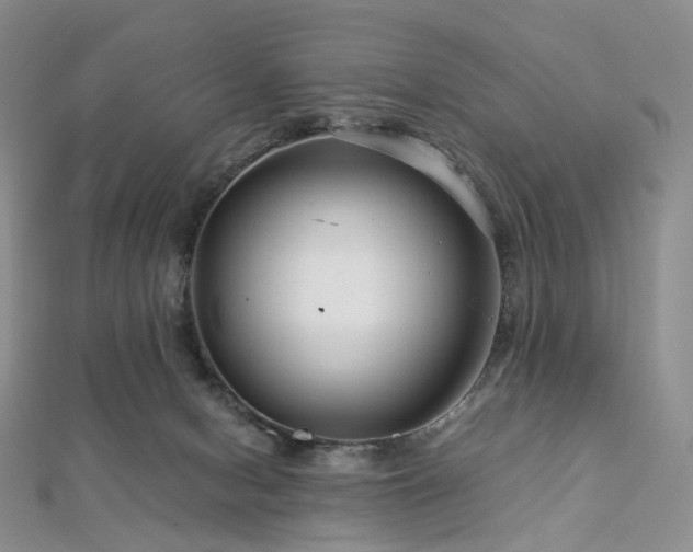 X0000112900078200908211526