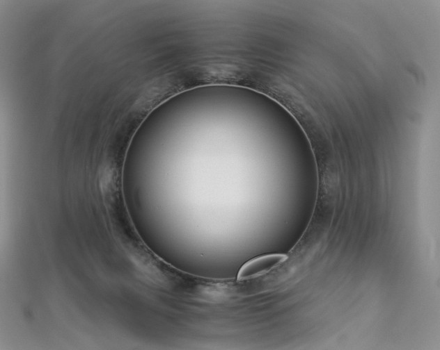 X0000112900079200908211526