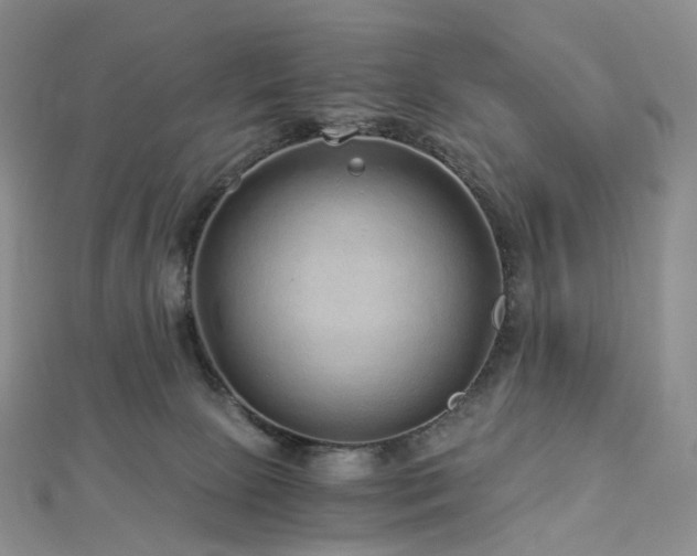 X0000112900081200908211526