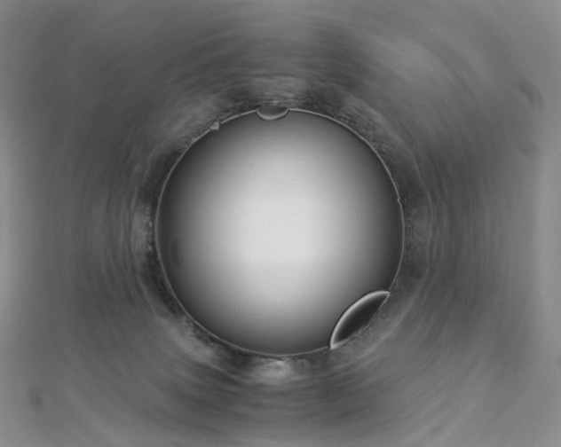 X0000112900083200908211526