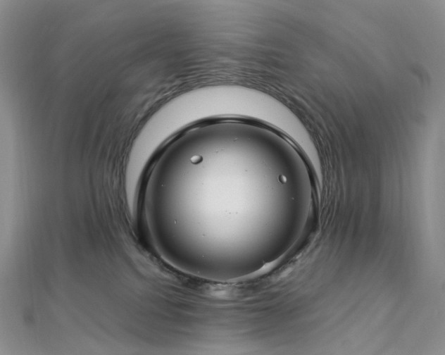 X0000112900088200908211526