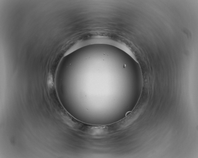 X0000112900089200908211526