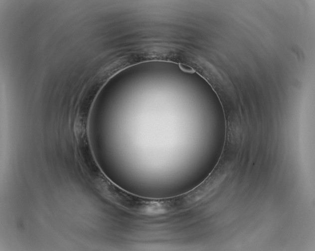 X0000112900091200908211526