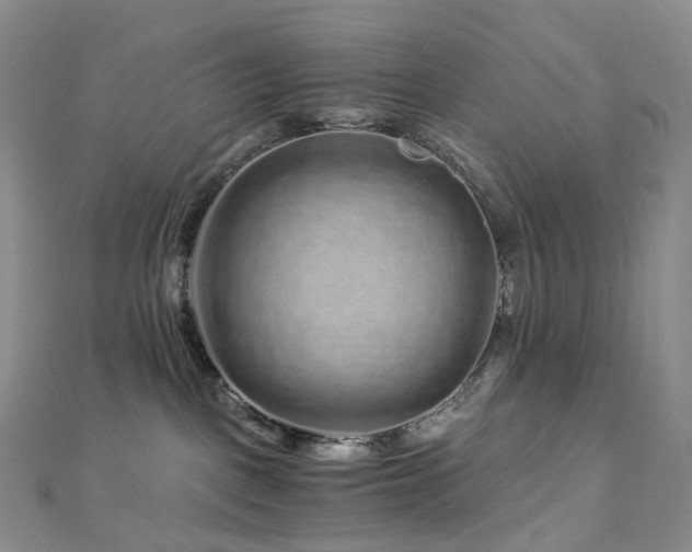 X0000112900093200908211526