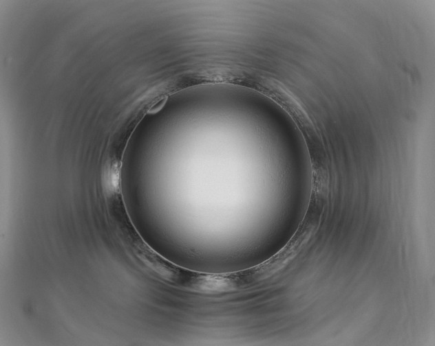 X0000112900095200908211526