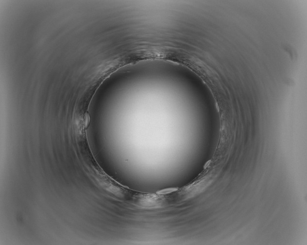 X0000112900096200908211526