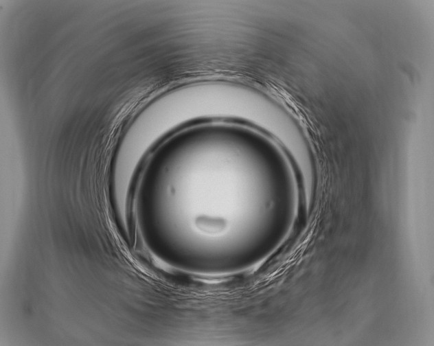 X0000112900097200908211525